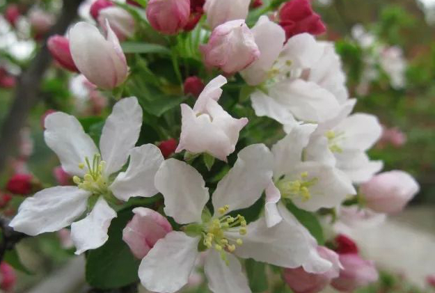 1673782150963309.jpg 微信圖片_20221128204928.jpg