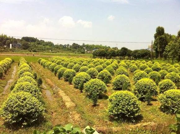 1675199805819281.jpg 微信圖片_20221028174316.jpg