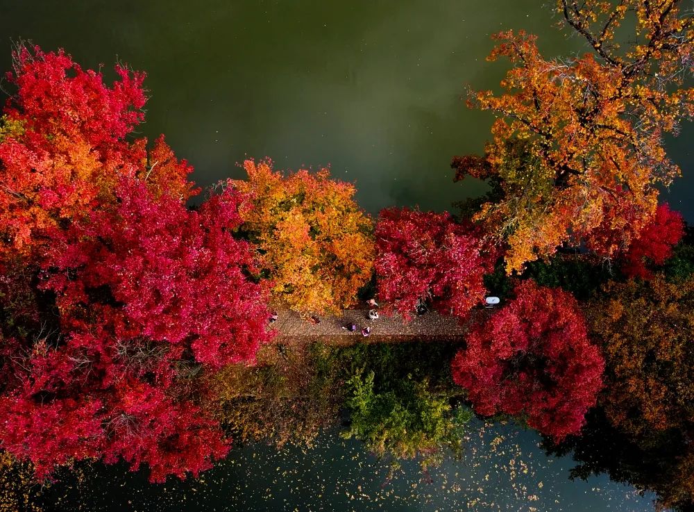 1675292009532726.jpg 微信圖片_20230107171416.jpg