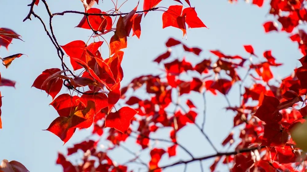 1675292017330225.jpg 微信圖片_20230107171438.jpg