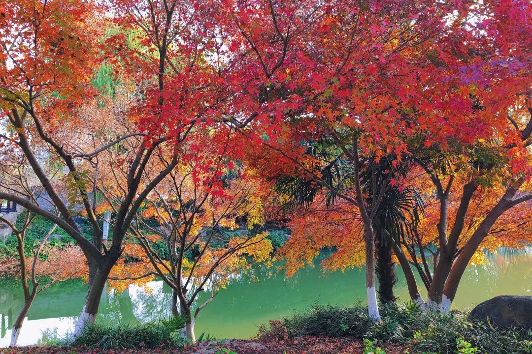 1675292025809862.jpg 微信圖片_20230112212513.jpg