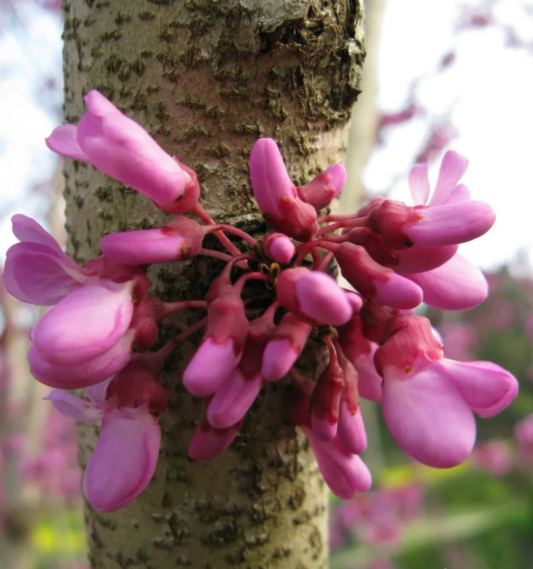 1675479107700095.jpg 微信圖片_20230201051106.jpg