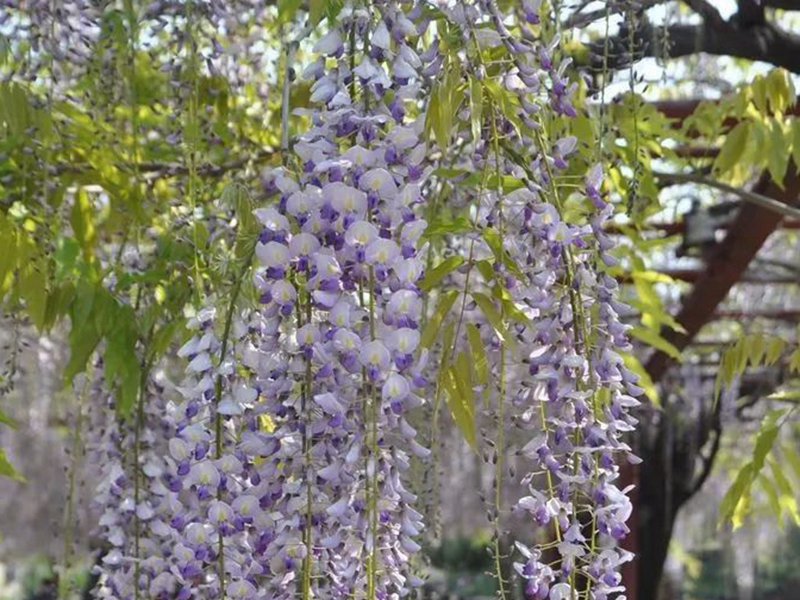 1675479190951442.jpg 微信圖片_20220818221324.jpg