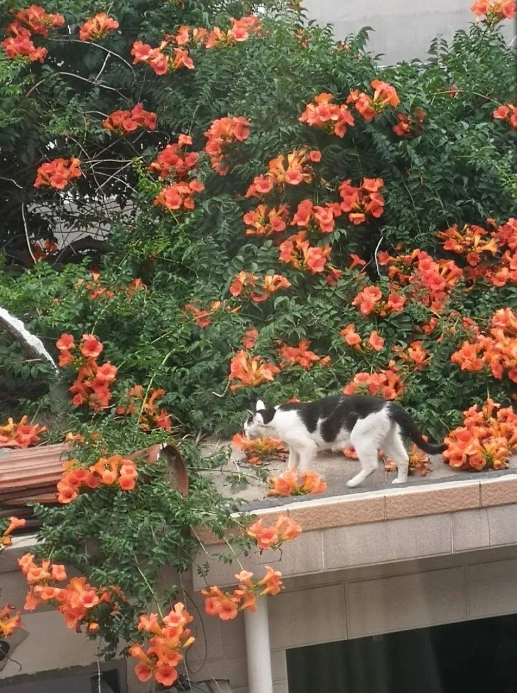 1675479610284983.jpg 微信圖片_20230116072103.jpg