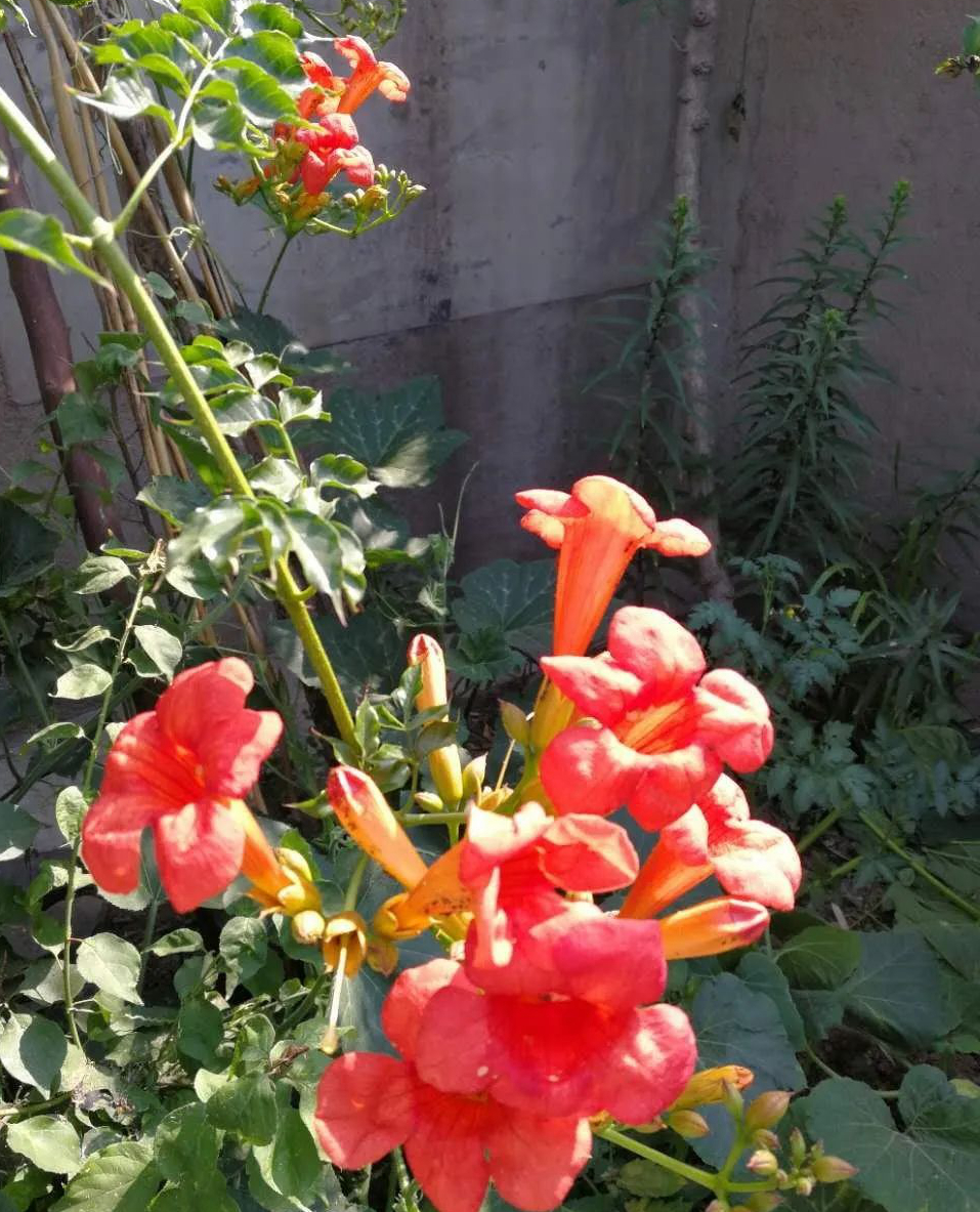 1675479621214318.jpg 微信圖片_20230116072128.jpg