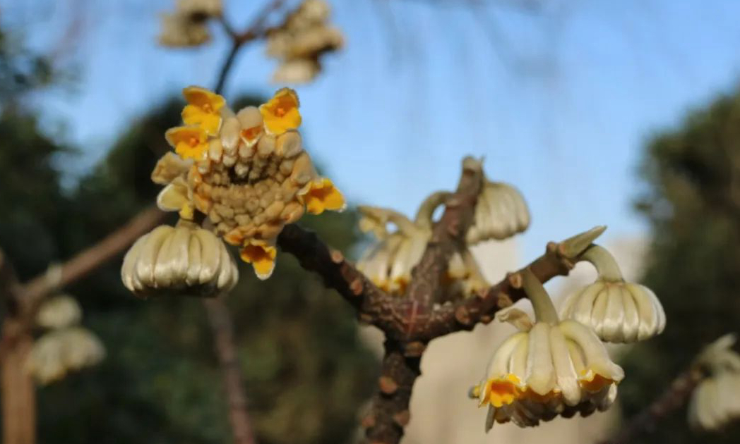 1675479751243283.jpg 微信圖片_20230108141350.jpg