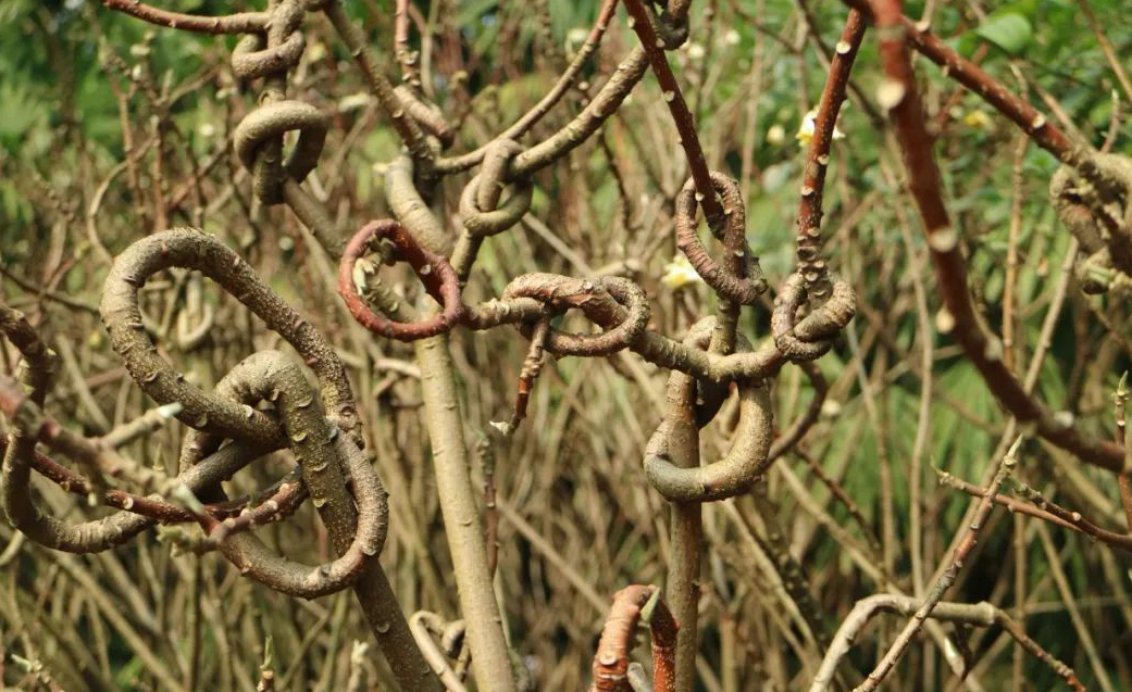 1675479766280011.jpg 微信圖片_20230108141359.jpg