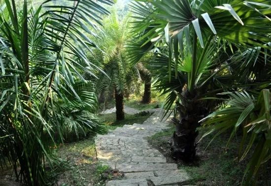 1675480046673368.jpg 微信圖片_20221029111918.jpg