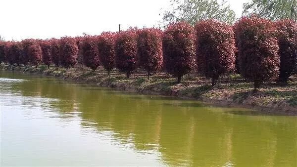 1675491800627286.jpg 微信圖片_20230204142221.jpg