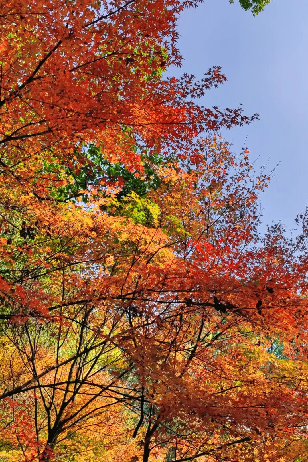 1675491955378807.jpg 微信圖片_20230112212508.jpg