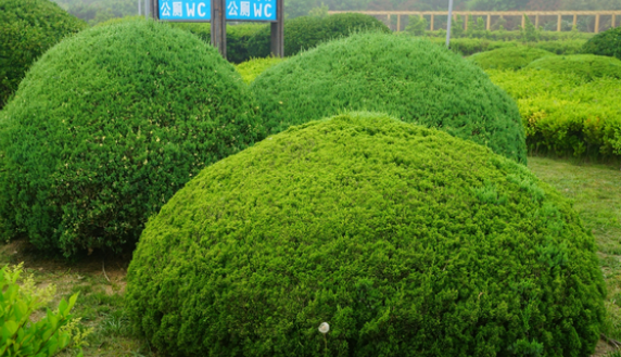 1675492458639980.png 微信圖片_20230204143155.png