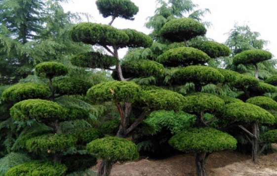 1675492465592690.png 微信圖片_20230204143152.png