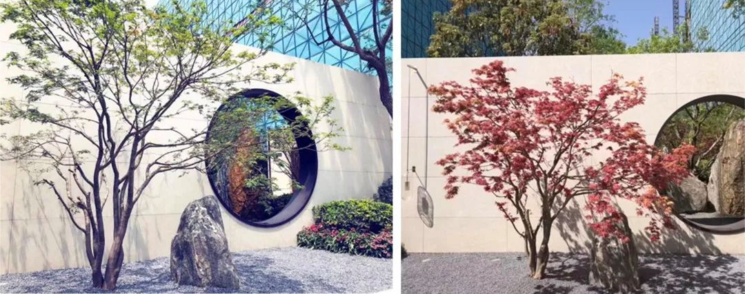 1676069953198876.png image.png