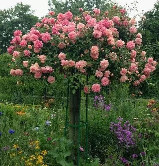 1676070239388803.jpg 微信圖片_20230211070240.jpg