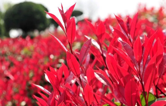 1676070312136428.jpg 微信圖片_20230204142152.jpg