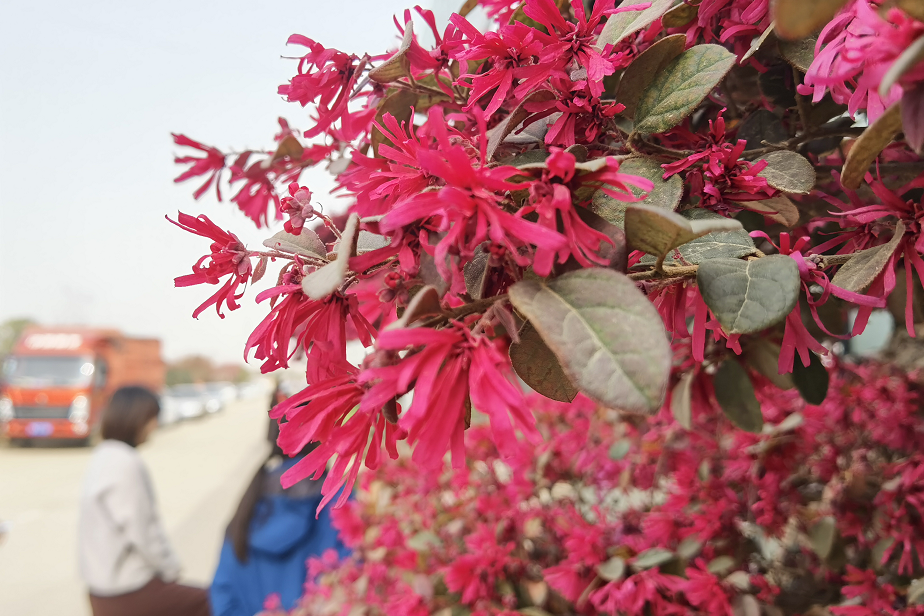 1676638713543245.png 微信圖片_20230201043751.png