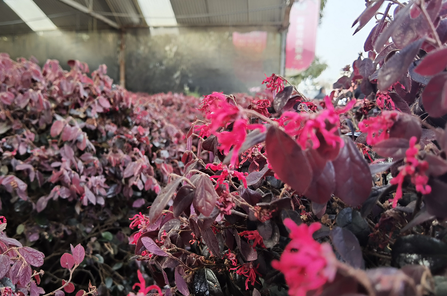 1676638722872927.png 微信圖片_20230201043806.png