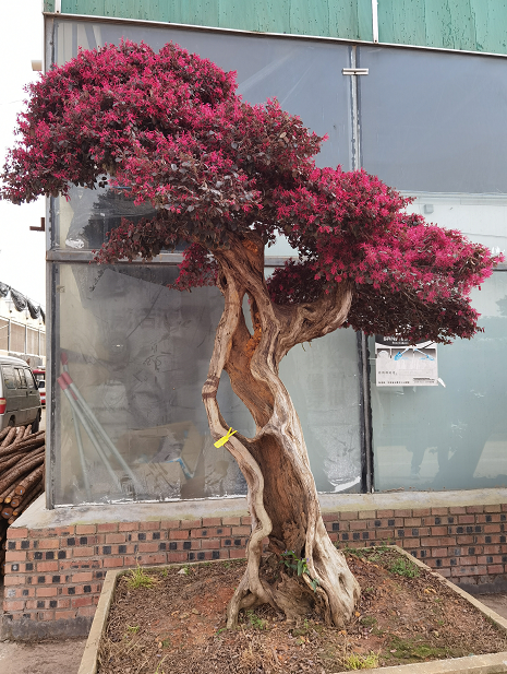 1676638735813941.png 微信圖片_20230201043815.png