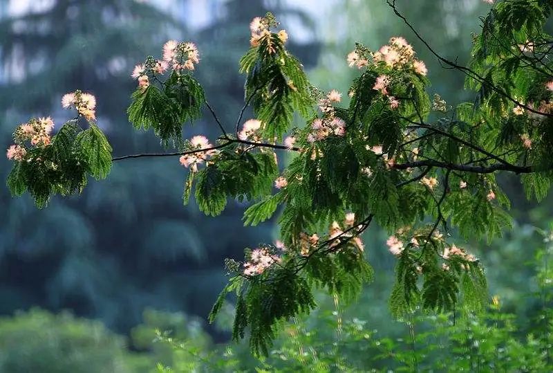 1676638791371124.jpg 微信圖片_20230201045504.jpg