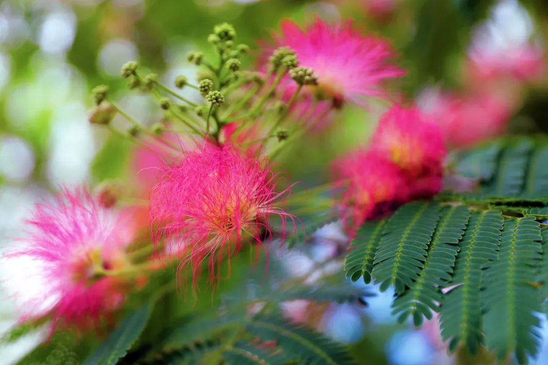 1676638797816849.jpg 微信圖片_20230201045522.jpg