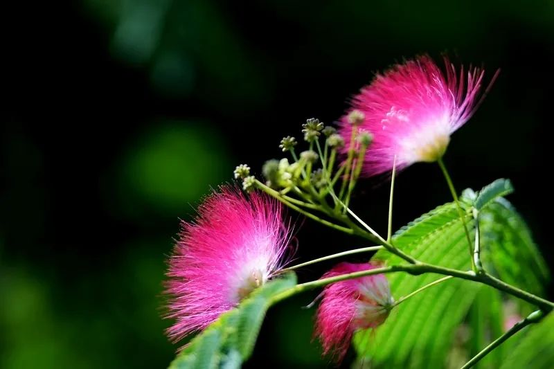 1676638816212636.jpg 微信圖片_20230201045612.jpg