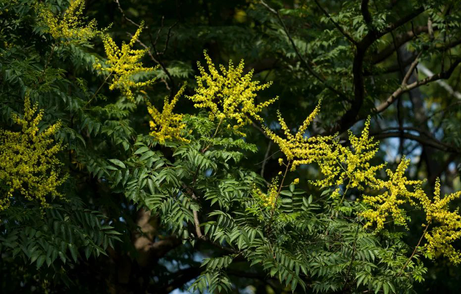 1676638966343891.jpg 微信圖片_20230107200532.jpg