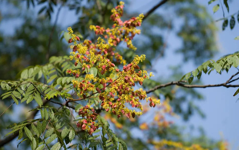 1676638974957058.jpg 微信圖片_20230107200538.jpg