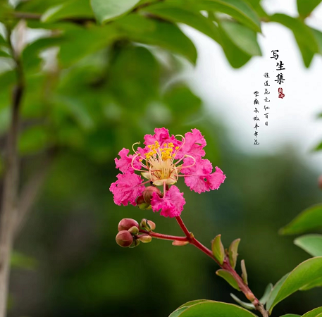 1676639069249414.png 微信圖片_20230112201817.png