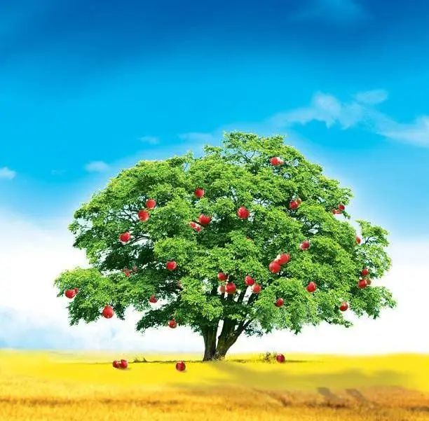 1676639285706289.png image.png