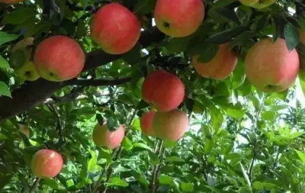 1676639296199164.png image.png