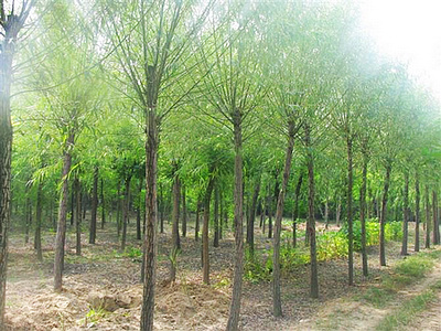 1676639645554579.jpg 微信圖片_20230217211021.jpg