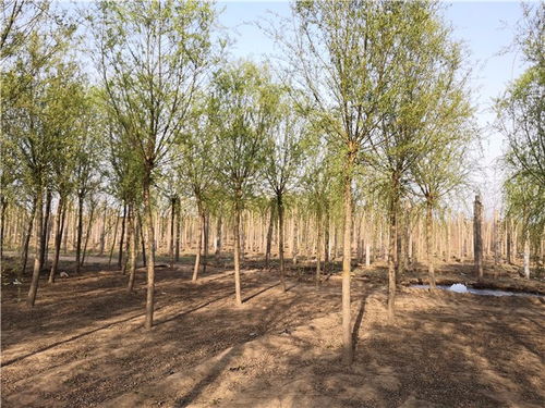 1676639652558497.jpg 微信圖片_20230217211041.jpg