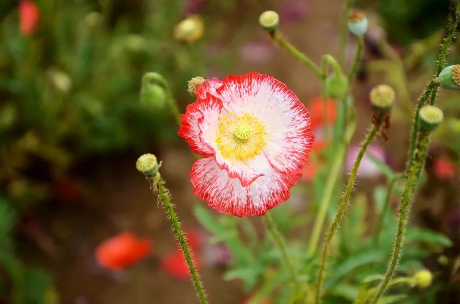 1676639738268808.jpg 微信圖片_20230217211449.jpg