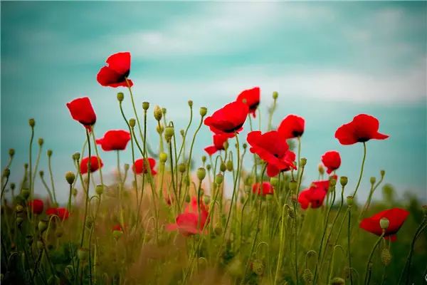 1676639746620799.jpg 微信圖片_20230217211445.jpg