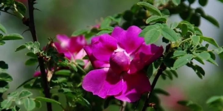 1676639896273199.jpg 微信圖片_20230217211715.jpg