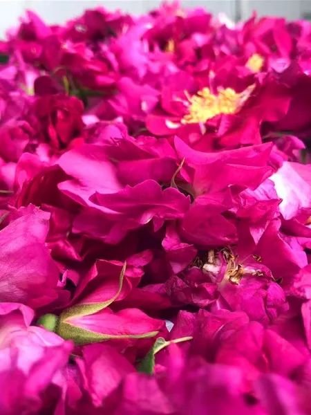 1676639903924379.jpg 微信圖片_20230217211723.jpg