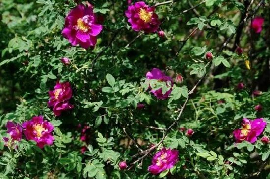 1676639918542690.jpg 微信圖片_20230217211726.jpg