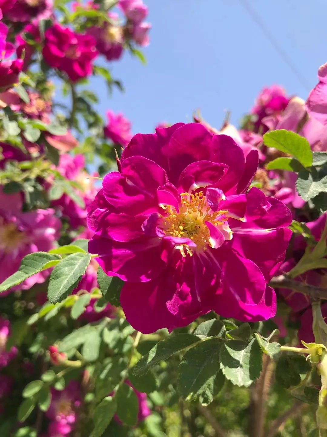 1676639926247692.jpg 微信圖片_20230217211728.jpg