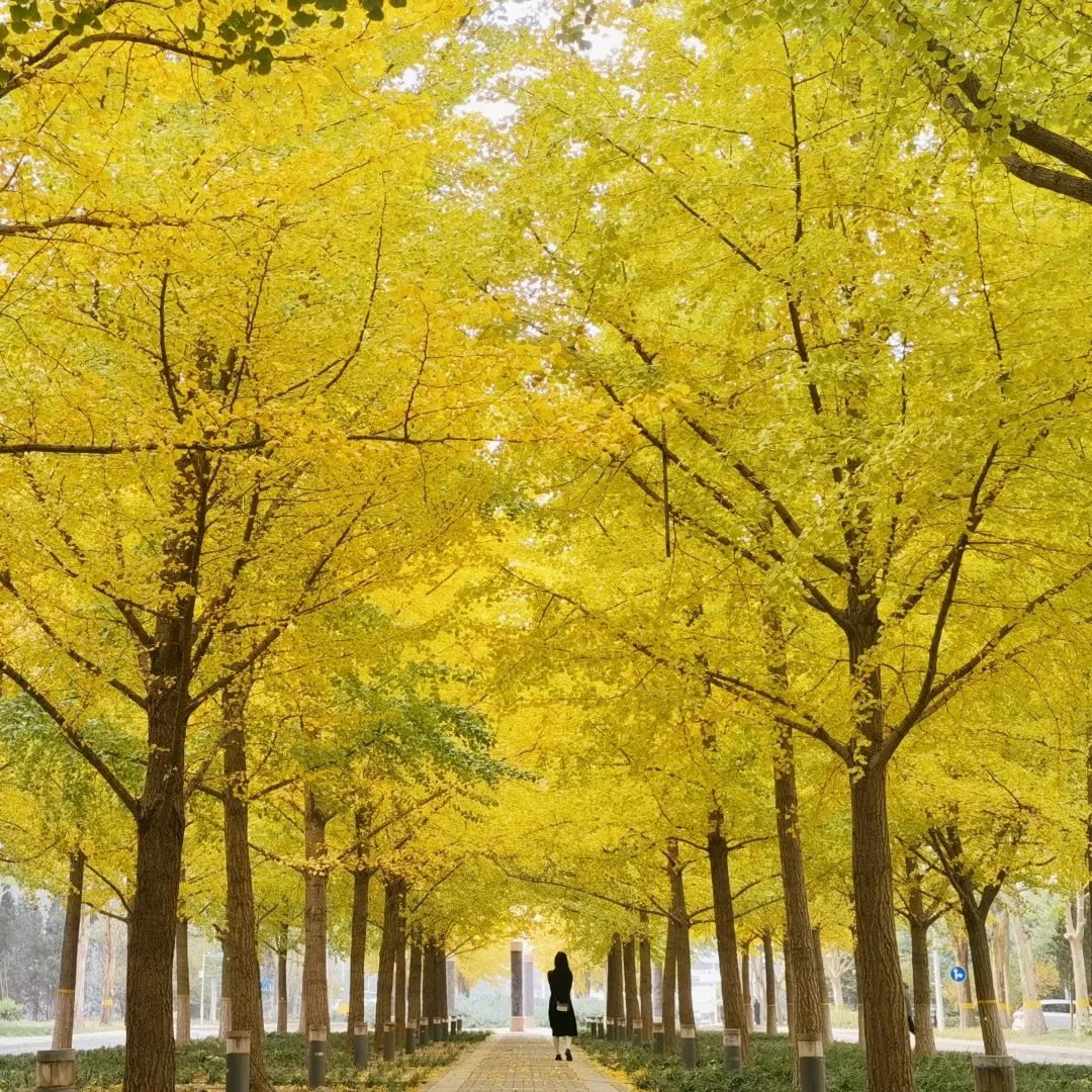 1676639976116381.jpg 微信圖片_20221126001420.jpg