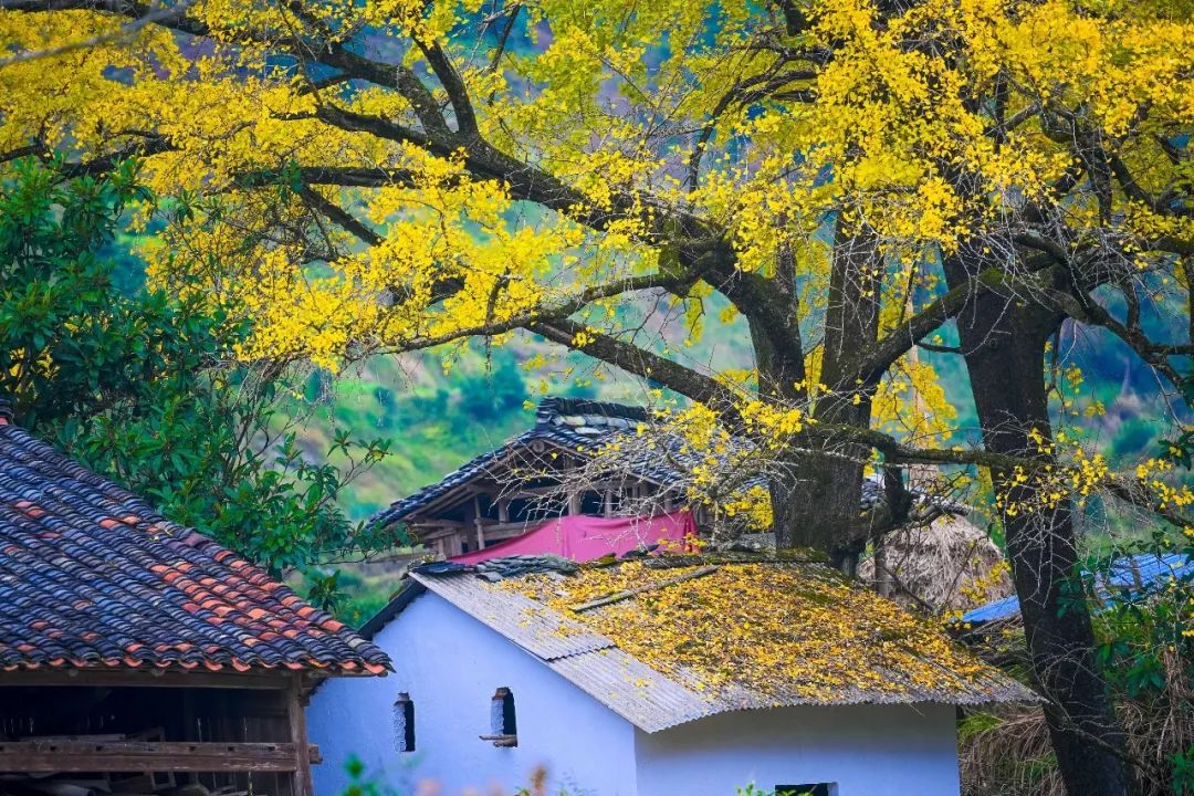 1676639983942535.jpg 微信圖片_20221126001434.jpg