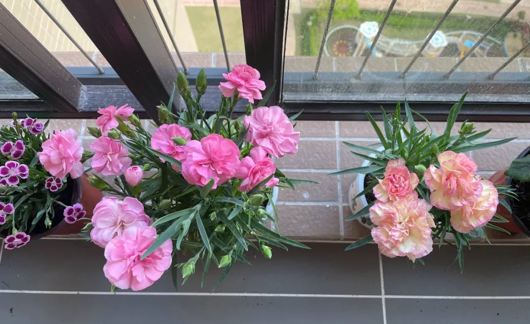 1676640084730632.jpg 微信圖片_20221031115757.jpg