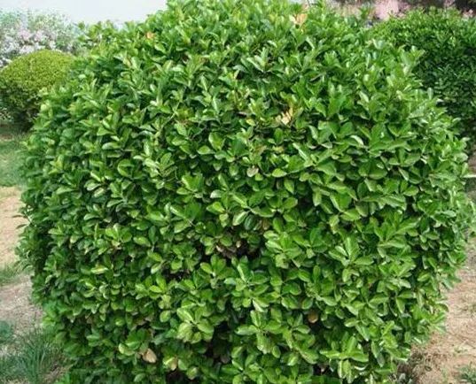 1676675383438047.jpg 微信圖片_20221028174331.jpg