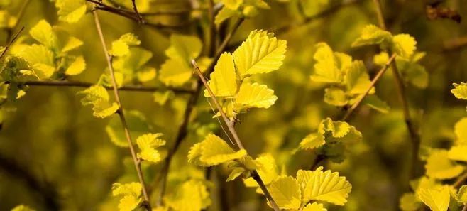 1676810829284029.jpg 微信圖片_20230219204552.jpg