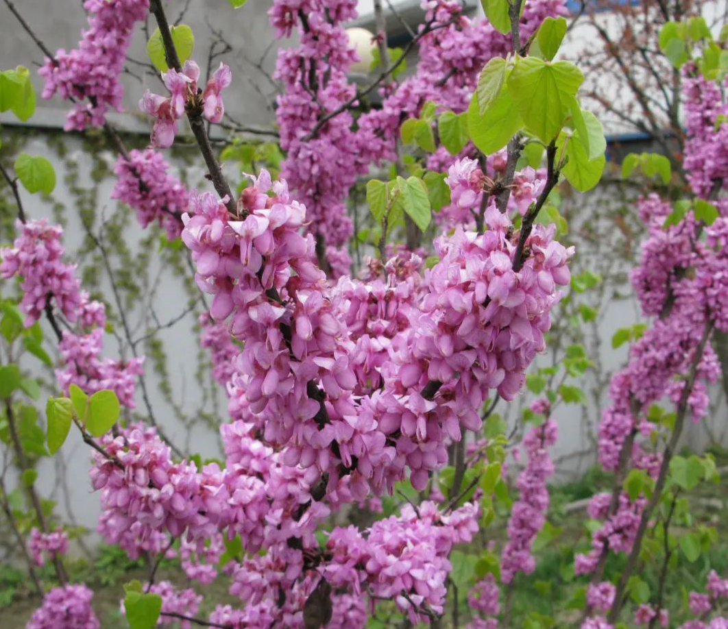 1676811031308161.jpg 微信圖片_20230201051109.jpg