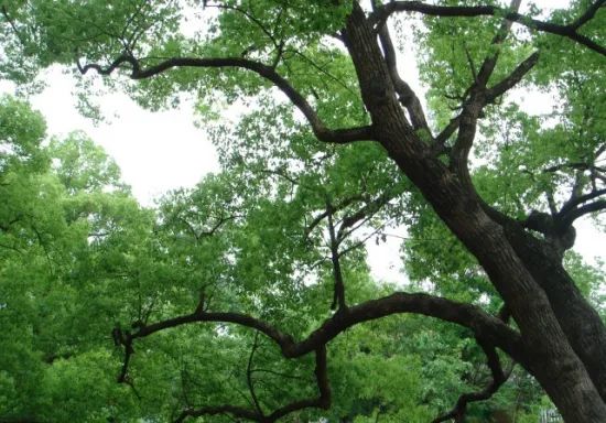 1676893282574926.jpg 微信圖片_20230220193846.jpg