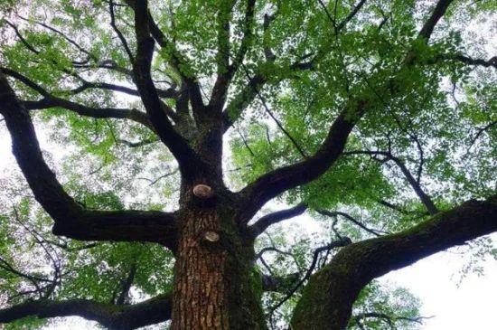 1676893300510037.jpg 微信圖片_20230220193909.jpg