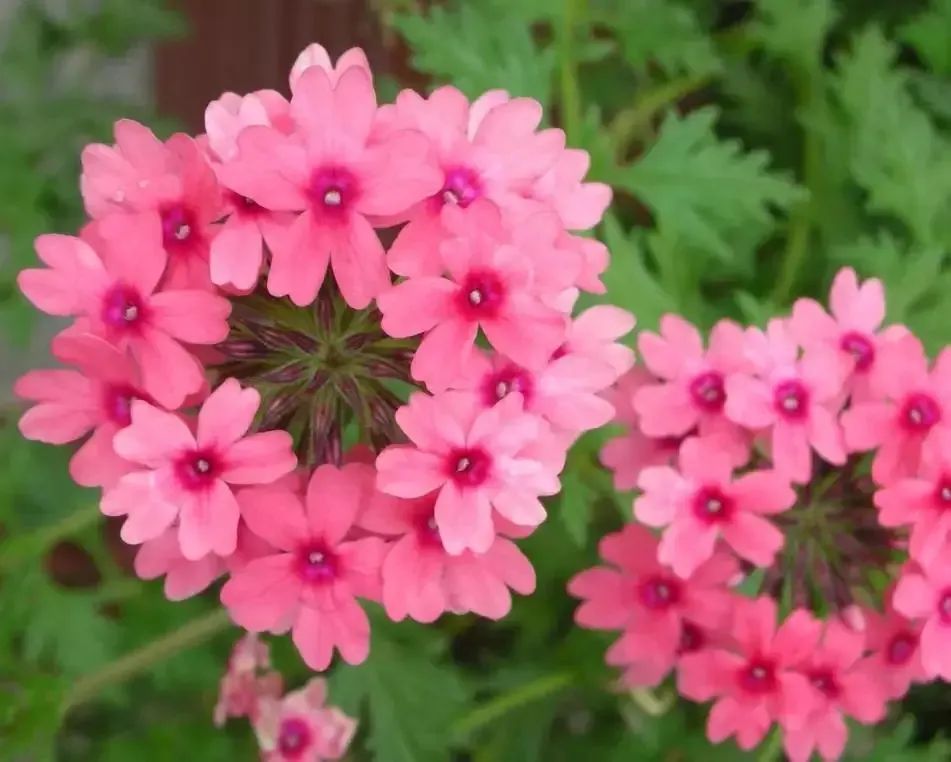 1676893418480913.jpg 微信圖片_20230220194221.jpg