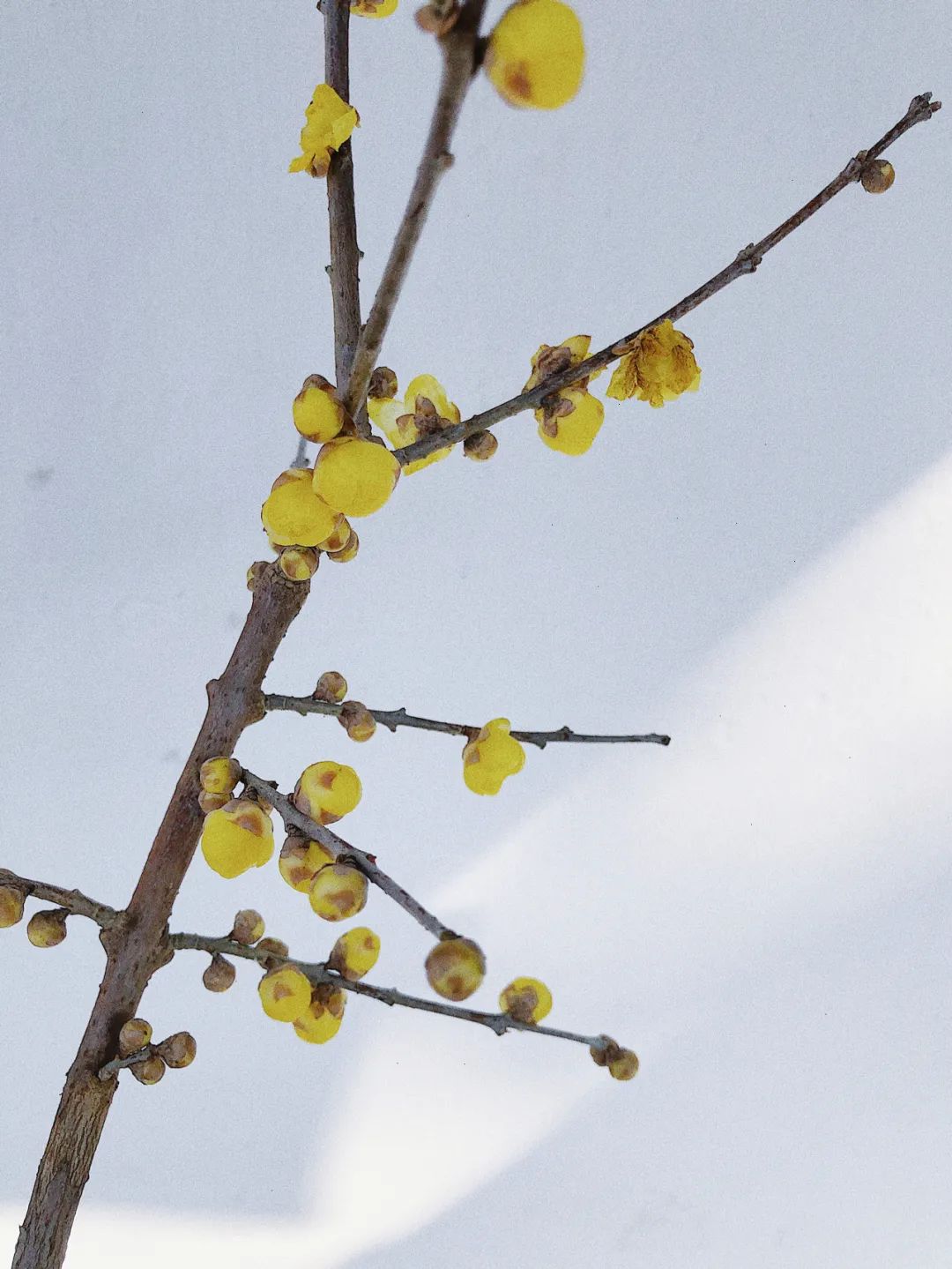 1676893612333225.jpg 微信圖片_20221023232801.jpg