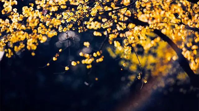 1676893624493489.jpg 微信圖片_20221023232842.jpg