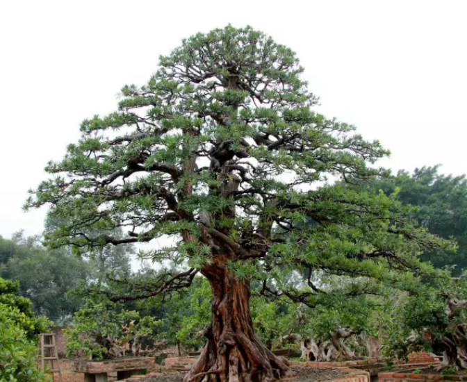 1676893873669785.png 微信圖片_20230220195004.png